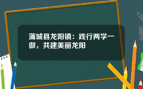 蒲城县龙阳镇：践行两学一做，共建美丽龙阳