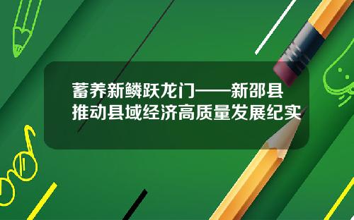 蓄养新鳞跃龙门——新邵县推动县域经济高质量发展纪实