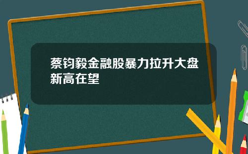 蔡钧毅金融股暴力拉升大盘新高在望