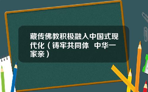 藏传佛教积极融入中国式现代化（铸牢共同体  中华一家亲）