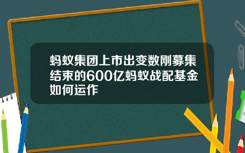 蚂蚁集团上市出变数刚募集结束的600亿蚂蚁战配基金如何运作