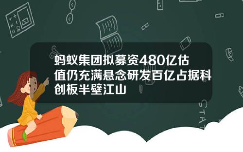 蚂蚁集团拟募资480亿估值仍充满悬念研发百亿占据科创板半壁江山