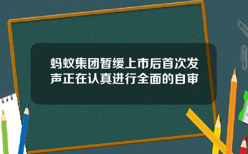 蚂蚁集团暂缓上市后首次发声正在认真进行全面的自审