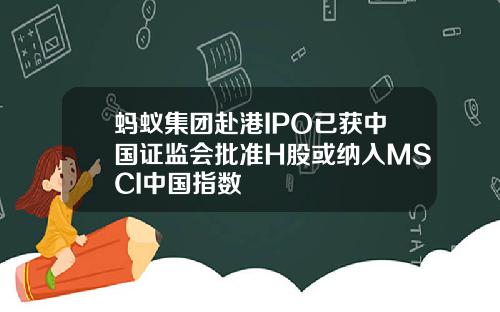 蚂蚁集团赴港IPO已获中国证监会批准H股或纳入MSCI中国指数