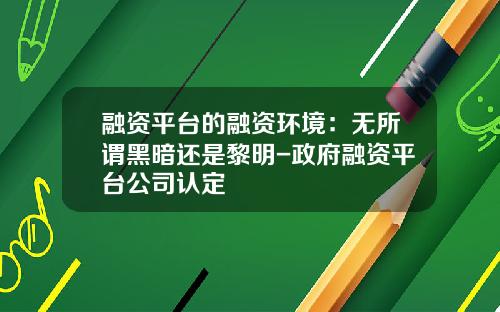融资平台的融资环境：无所谓黑暗还是黎明-政府融资平台公司认定