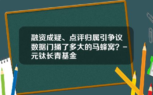 融资成疑、点评归属引争议数据门捅了多大的马蜂窝？-元钛长青基金