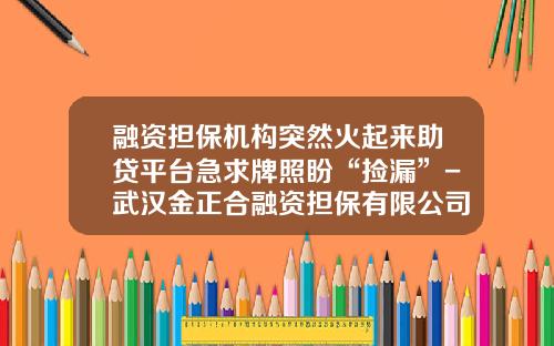 融资担保机构突然火起来助贷平台急求牌照盼“捡漏”-武汉金正合融资担保有限公司