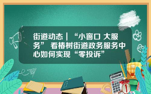 街道动态｜“小窗口 大服务” 看椿树街道政务服务中心如何实现“零投诉”