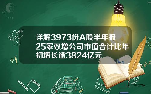 详解3973份A股半年报25家双增公司市值合计比年初增长逾3824亿元