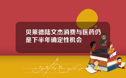 贝莱德陆文杰消费与医药仍是下半年确定性机会