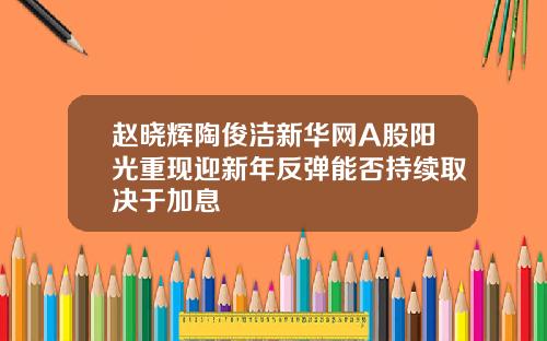 赵晓辉陶俊洁新华网A股阳光重现迎新年反弹能否持续取决于加息