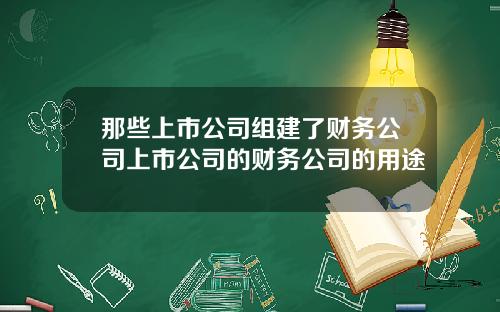那些上市公司组建了财务公司上市公司的财务公司的用途