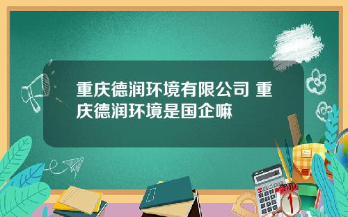重庆德润环境有限公司 重庆德润环境是国企嘛