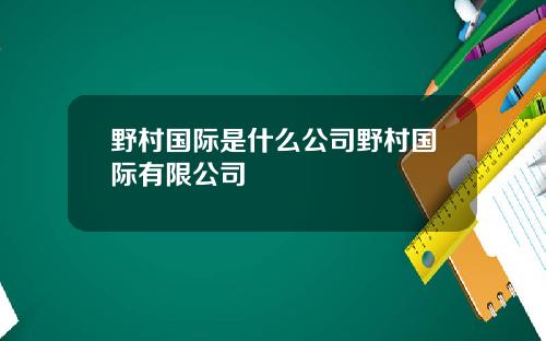 野村国际是什么公司野村国际有限公司