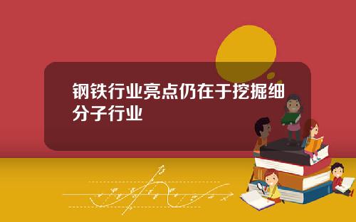钢铁行业亮点仍在于挖掘细分子行业