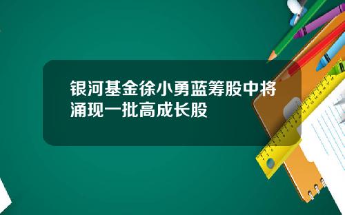 银河基金徐小勇蓝筹股中将涌现一批高成长股