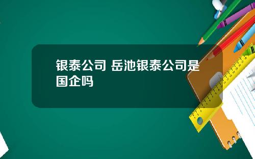 银泰公司 岳池银泰公司是国企吗