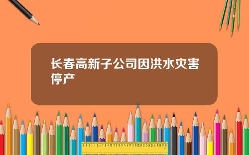 长春高新子公司因洪水灾害停产