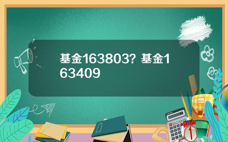 基金163803？基金163409