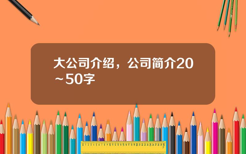 大公司介绍，公司简介20～50字