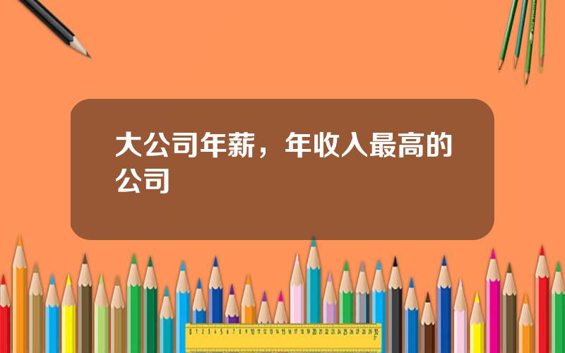 大公司年薪，年收入最高的公司
