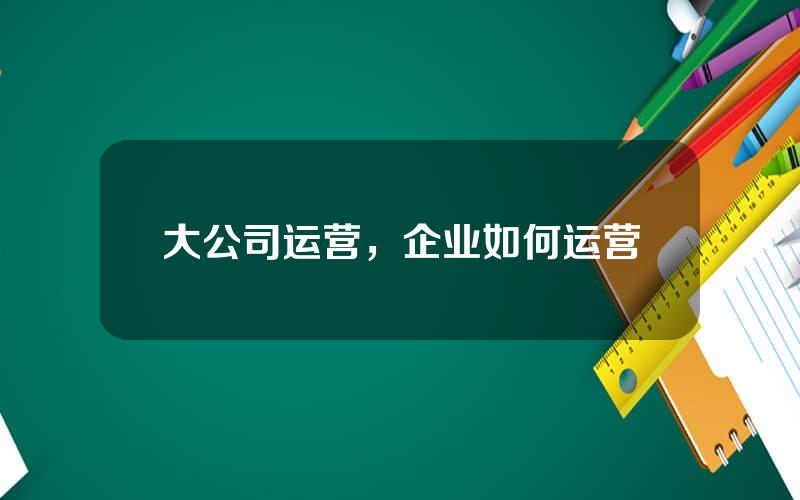 大公司运营，企业如何运营