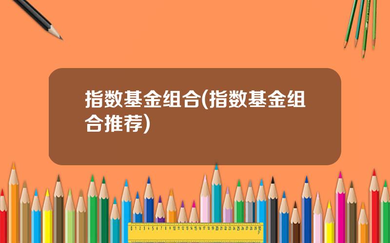 指数基金组合(指数基金组合推荐)