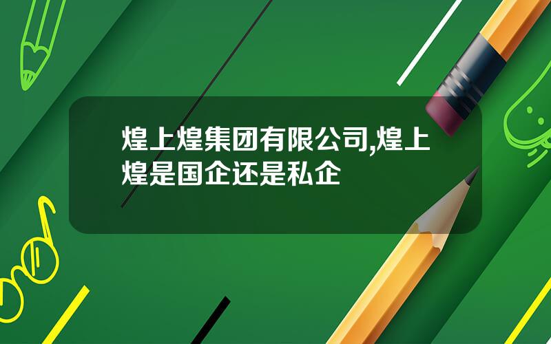 煌上煌集团有限公司,煌上煌是国企还是私企