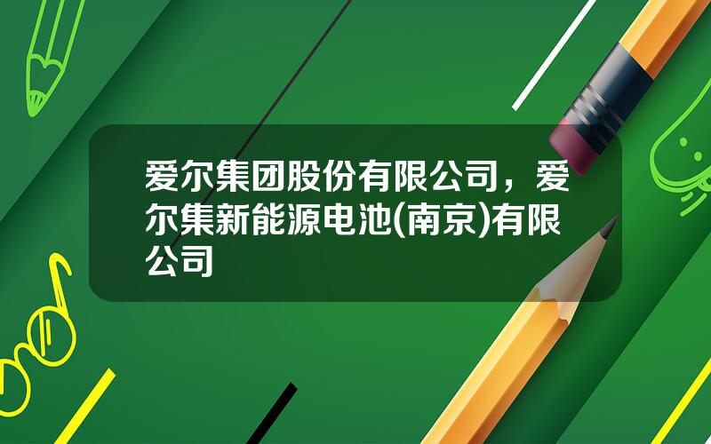 爱尔集团股份有限公司，爱尔集新能源电池(南京)有限公司