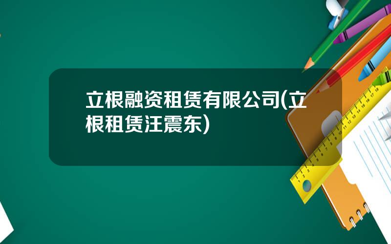 立根融资租赁有限公司(立根租赁汪震东)