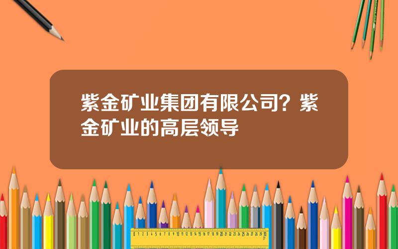 紫金矿业集团有限公司？紫金矿业的高层领导