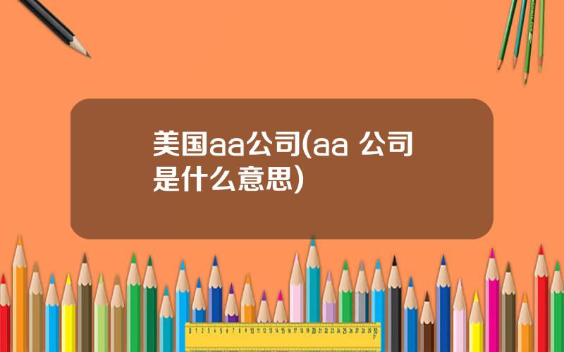 美国aa公司(aa+公司是什么意思)