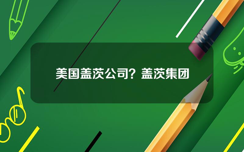 美国盖茨公司？盖茨集团