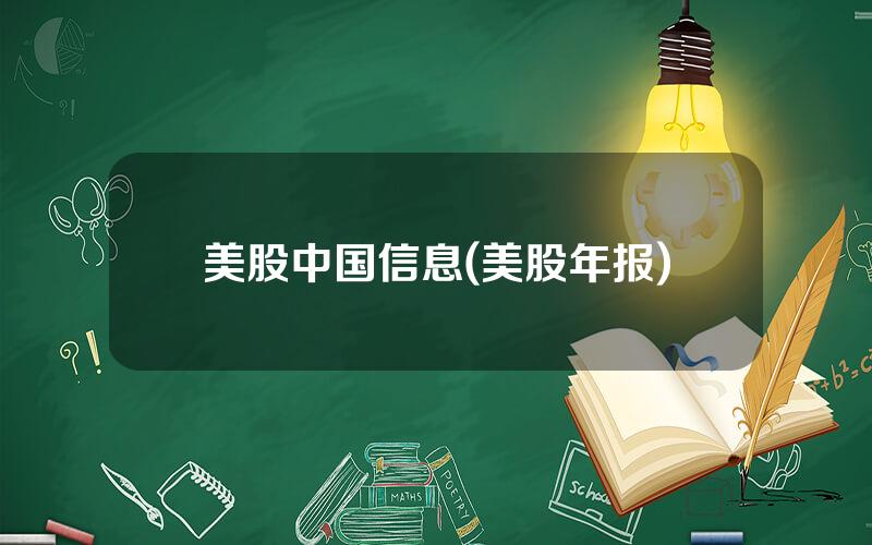 美股中国信息(美股年报)