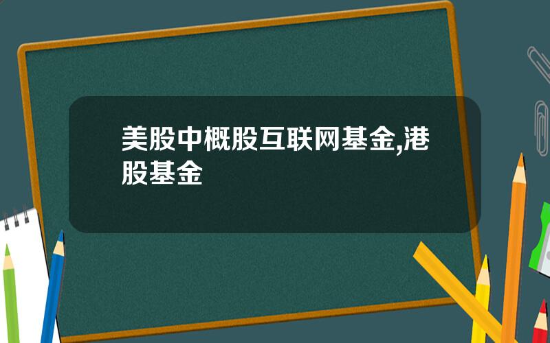 美股中概股互联网基金,港股基金