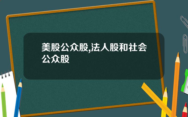 美股公众股,法人股和社会公众股