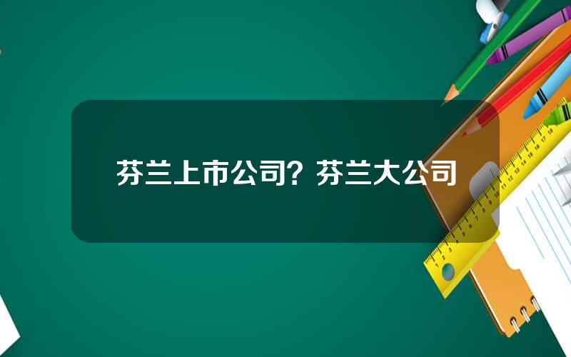 芬兰上市公司？芬兰大公司