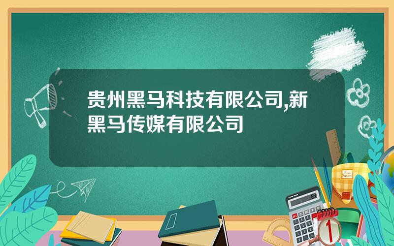 贵州黑马科技有限公司,新黑马传媒有限公司