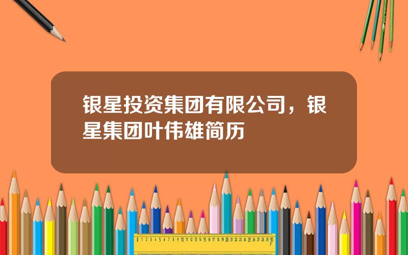 银星投资集团有限公司，银星集团叶伟雄简历