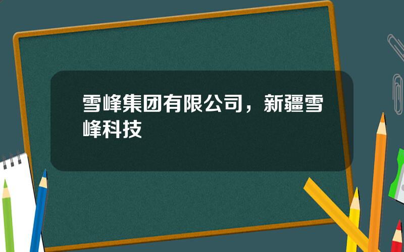 雪峰集团有限公司，新疆雪峰科技