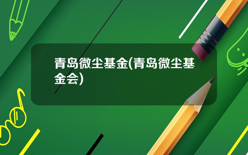 青岛微尘基金(青岛微尘基金会)